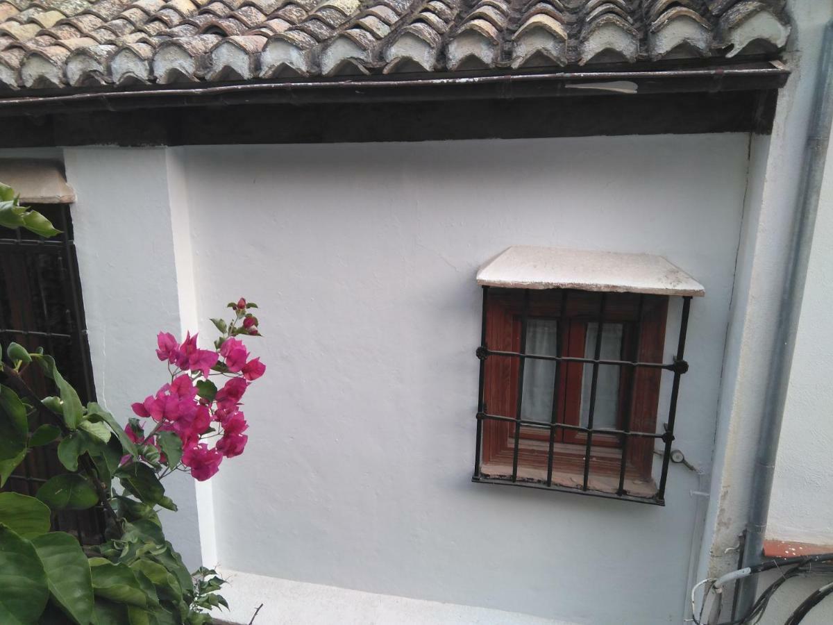 Apartament Casa-mirador La Alhacena